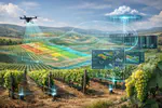 VINE: Precision Agriculture Data Platform & Digital Twin